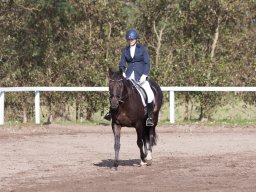 IMG_7877_web